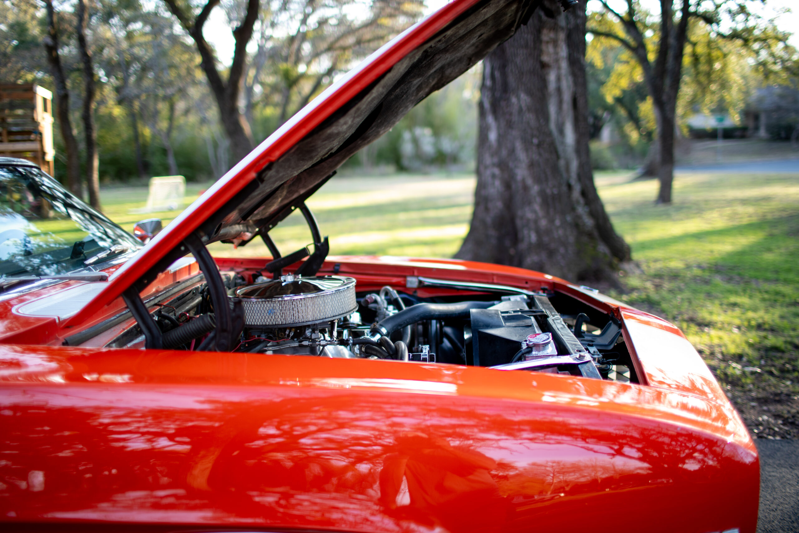 A red car with its hood open, revealing the engine and various mechanical components. The car is parked outdoors, surrounded by trees and greenery.