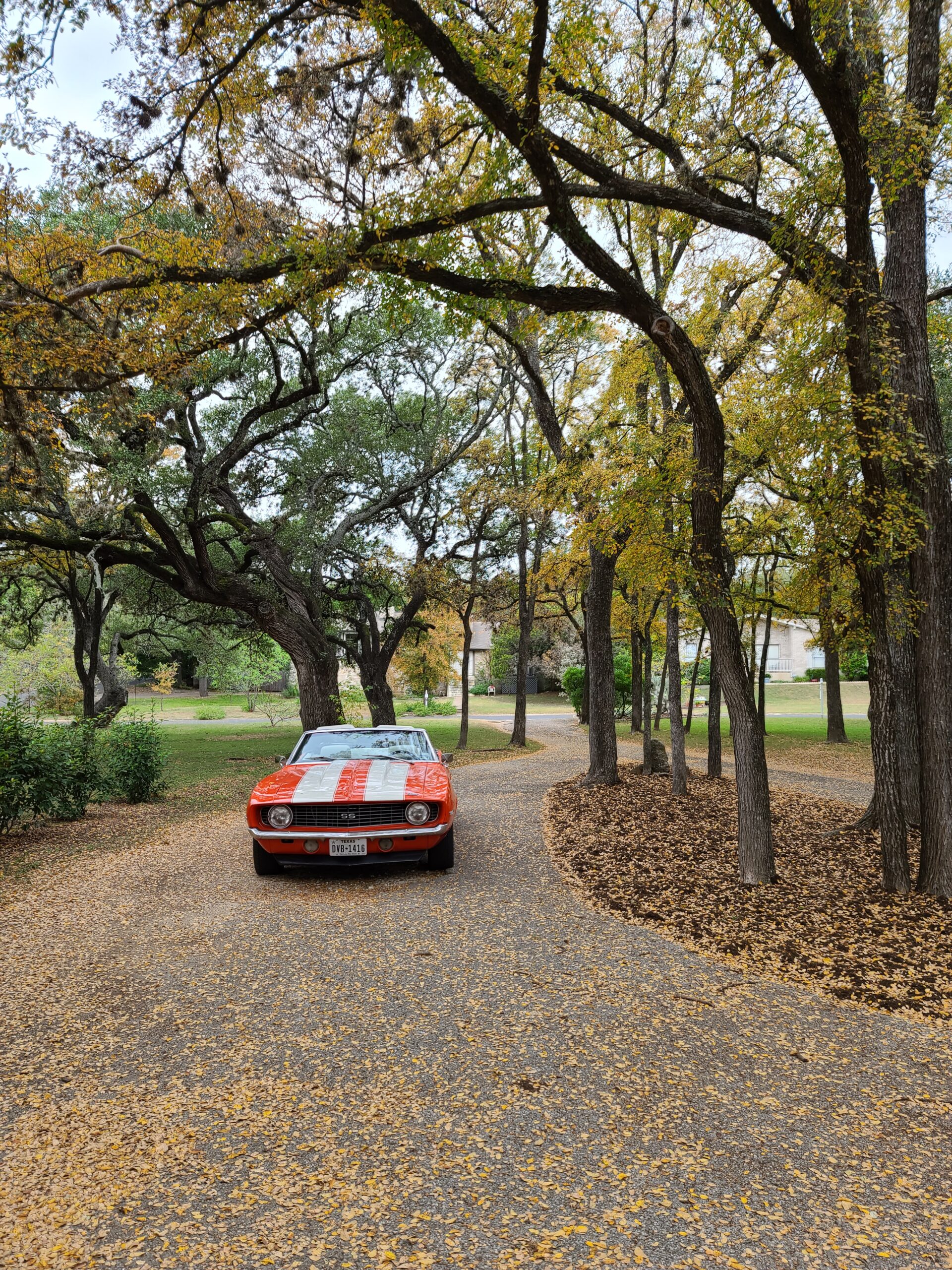 A red and white vintage car is parked on a winding path surrounded by trees with autumn foliage.