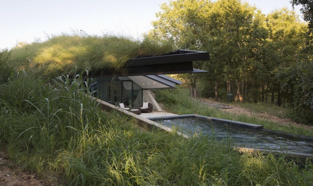 Modern eco-friendly home selling point is its green roof and large glass windows beside a narrow outdoor pool, blending into a natural wooded landscape.